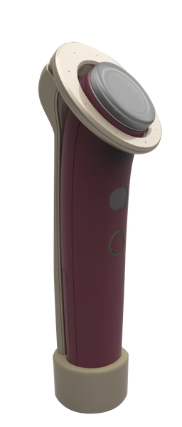 Oxycura
