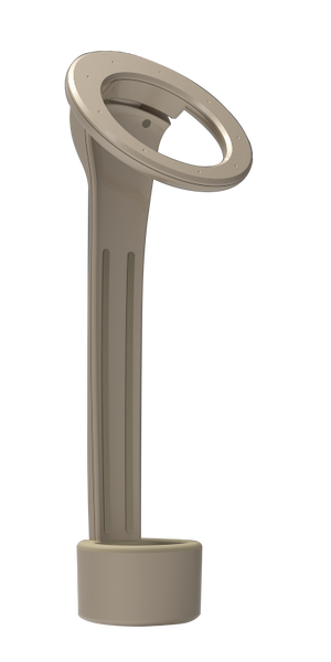 Oxycura